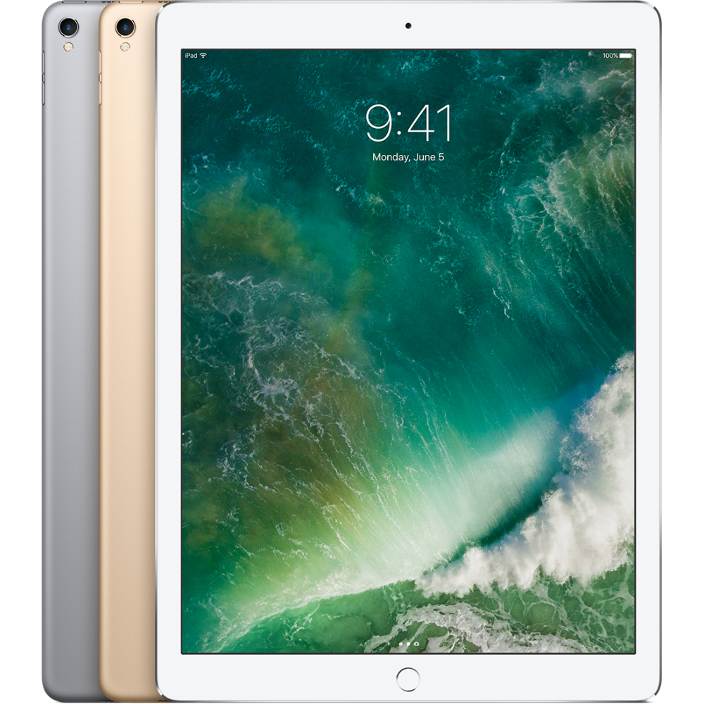 iPad Pro 12.9 2018 3ème génération Wi-Fi+4G 1To