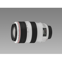 EF 70-300/4-5,6 L IS USM