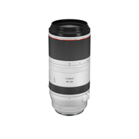 RF 100-500/4.5-7.1 L IS USM