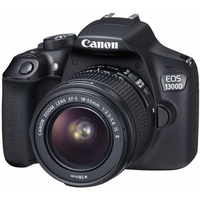 EOS 1300D + objectif standard / 8648972
