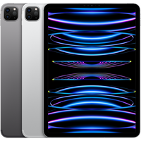 iPad Pro 11 2022 4e génération Wifi