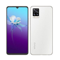 V20 2021