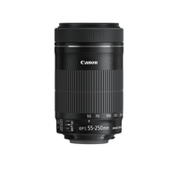 EF-S 55-250/4-5,6 IS STM