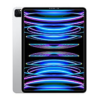 iPad Pro 12.9 2022 6e génération Wifi+5G