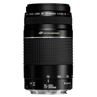 EF 75-300/4,0-5,6 III USM