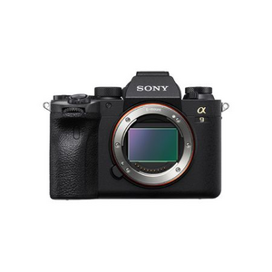 Alpha A9 II boitier nu / 9157226