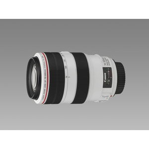 EF 70-300/4-5,6 L IS USM / 6171427