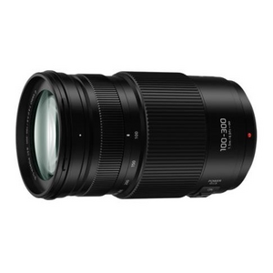 Lumix G Vario 100-300mm f/4.0-5.6 ASPH Power O.I.S / 8889708