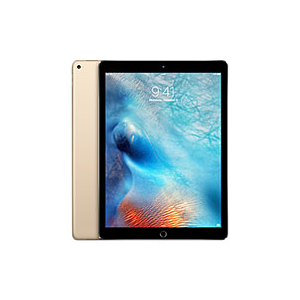 iPad Pro 12.9 Wi-Fi+4G 128Go