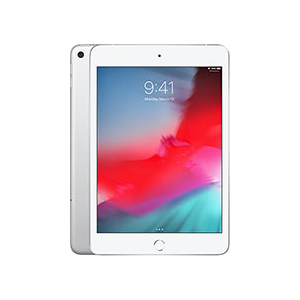 iPad Mini 7.9 2019 5e génération Wi-fi 256Go