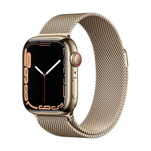 Watch Series 7 boitier Acier inoxydable 45mm GPS+Cellular