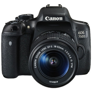 EOS 750D + Objectif 18-55 mm IS / 8398445