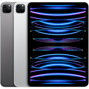iPad Pro 11 2022 4e génération Wifi 256Go