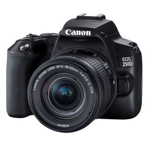EOS 250D + objectif standard / 9141130