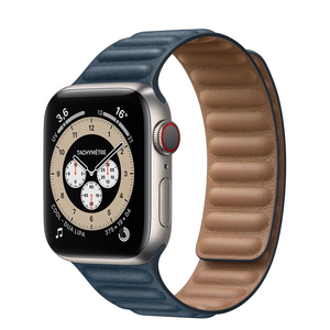 Watch Edition Series 6 40mm boîtier Titane GPS+4G