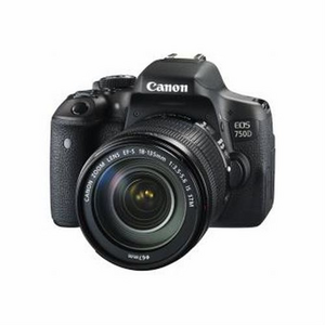 Canon EOS 750D + objectif 18-135 mm STM / 9106598