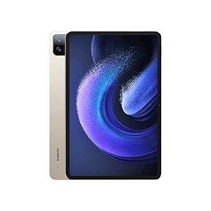 Pad 6 Pro 256Go